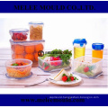 Plastic Mould Manufacturer for Transparent Preserving Box